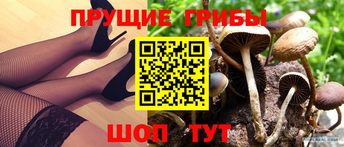 Галлюциногенные грибы ЛСД  Вход с VPN  Джанкой 
